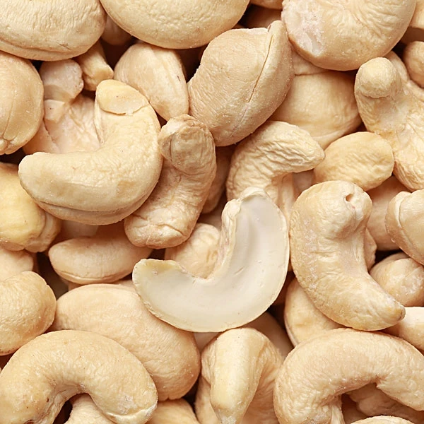 Vietnam cashew nuts without shell W240 at Competitive Price