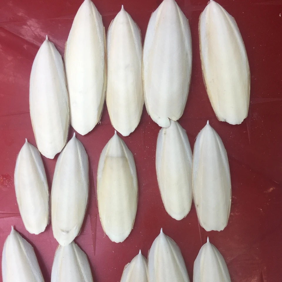 High Quality Vietnam Dried Cuttlefish Bone For Pet Toy Customized Packed