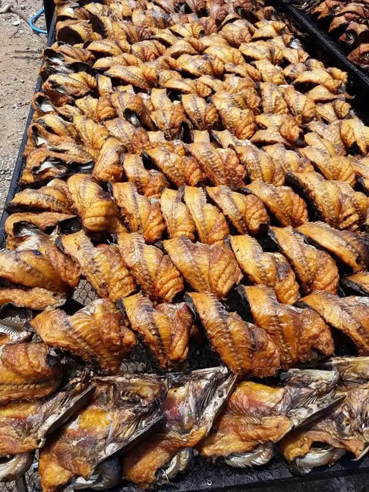 Africa Origin Cheap Dry Cat Fish For Sale Sun Dried Cat Fish Best Quality