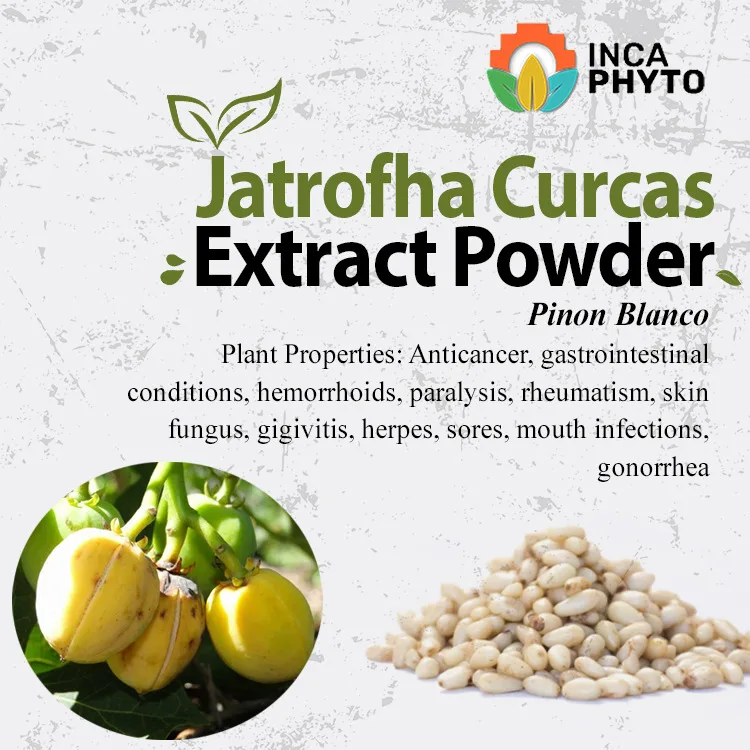 
Jatrofha Curcas Powder 