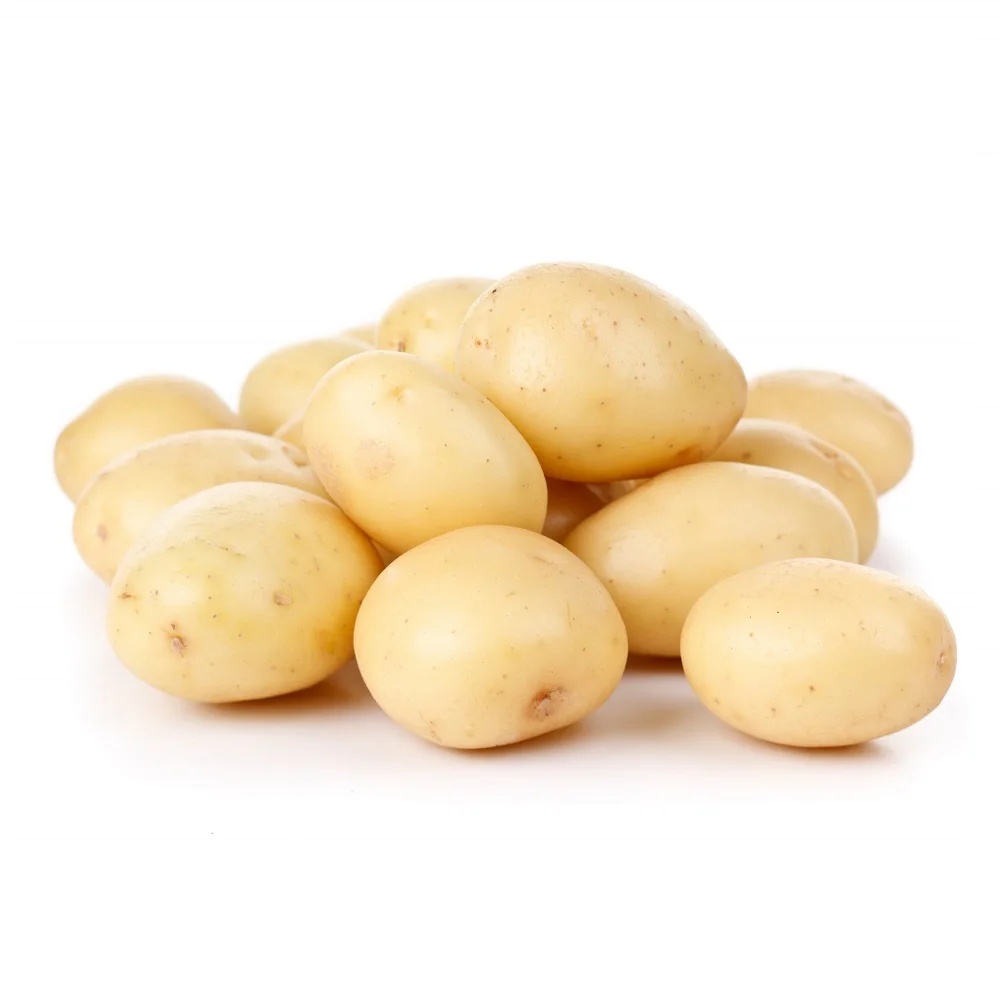 Wholesale Price High Quality Export Oriented 100% Organic Fresh Potato Oval Shape Potatoes From Bangladesh