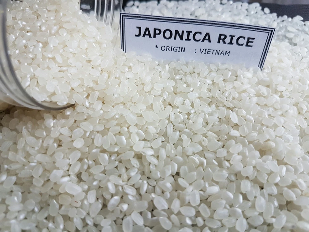 Made in Viet Nam High Quality Japanese sushi rice Japonica Rice Round Short Seed White Rice 5% Broken with Best Price