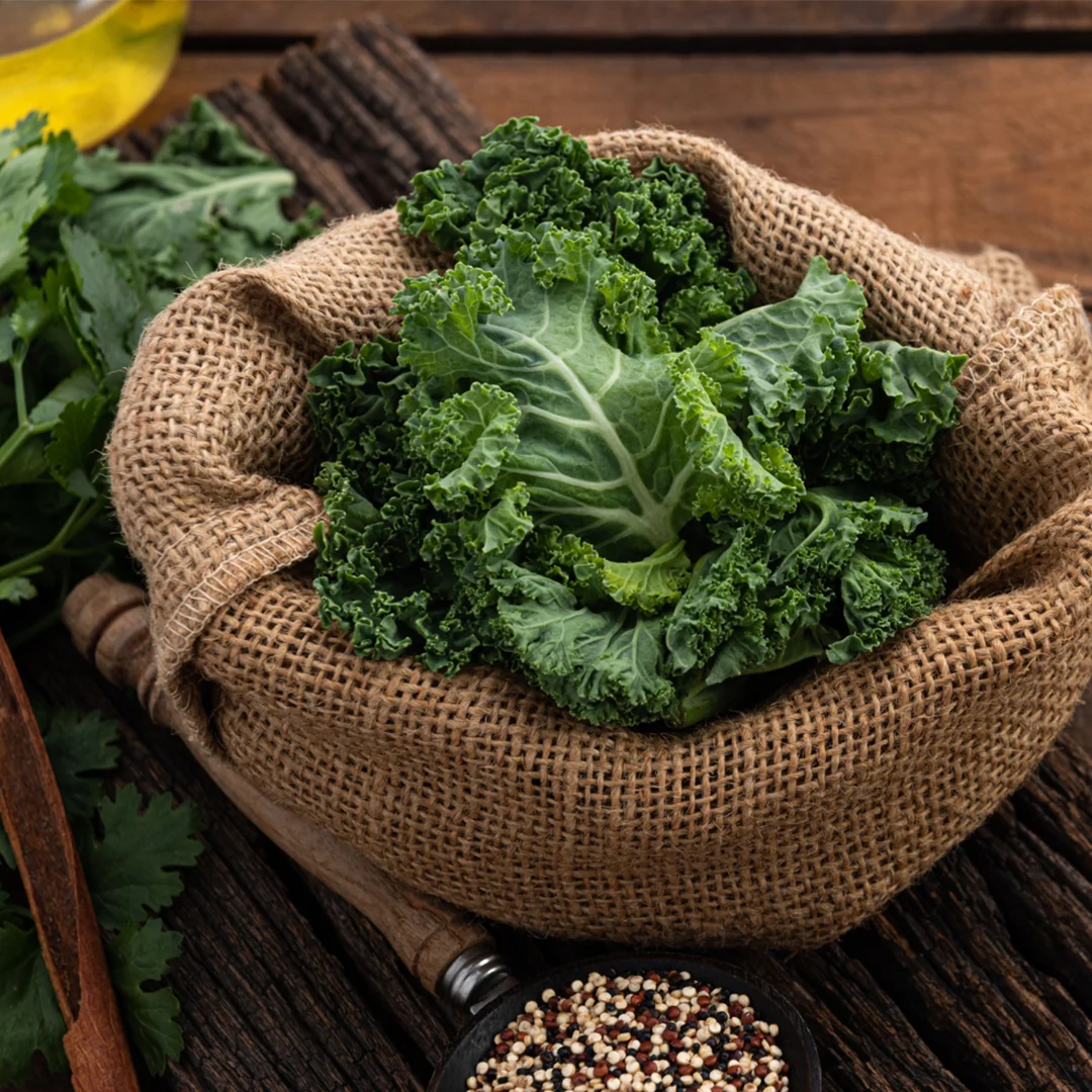 High Quality Kale Powder Herb Extract From Vietnam Supplier Wholesale