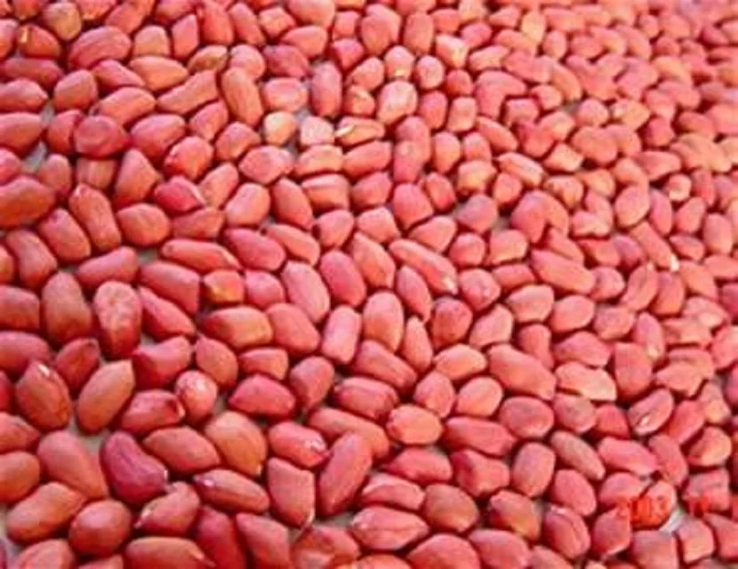 Лучший сорт арахиса для продажи/арахис