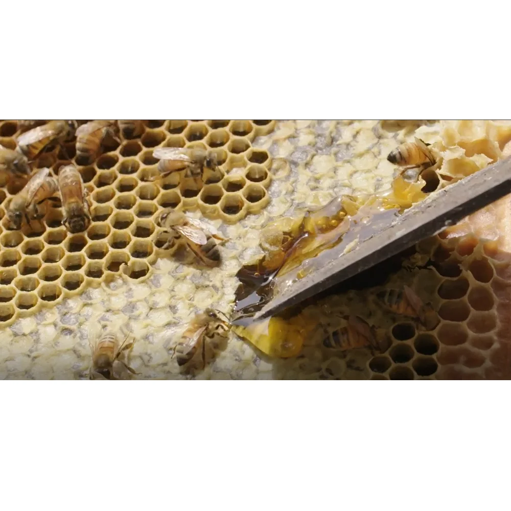 260 г натуральный мед премиум-класса TA20 + мед пустынный Малли с сроком годности 3 года + в упаковке Мейсона из Австралии