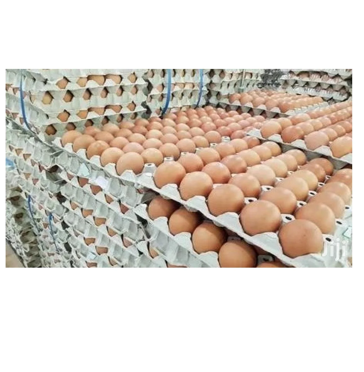 
Cheap Egg Organic Best Quality Turkey ISO HALAL 