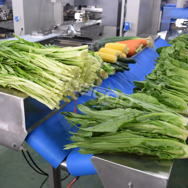 Fully automatic  pillow type fruit and vegetable packing machine