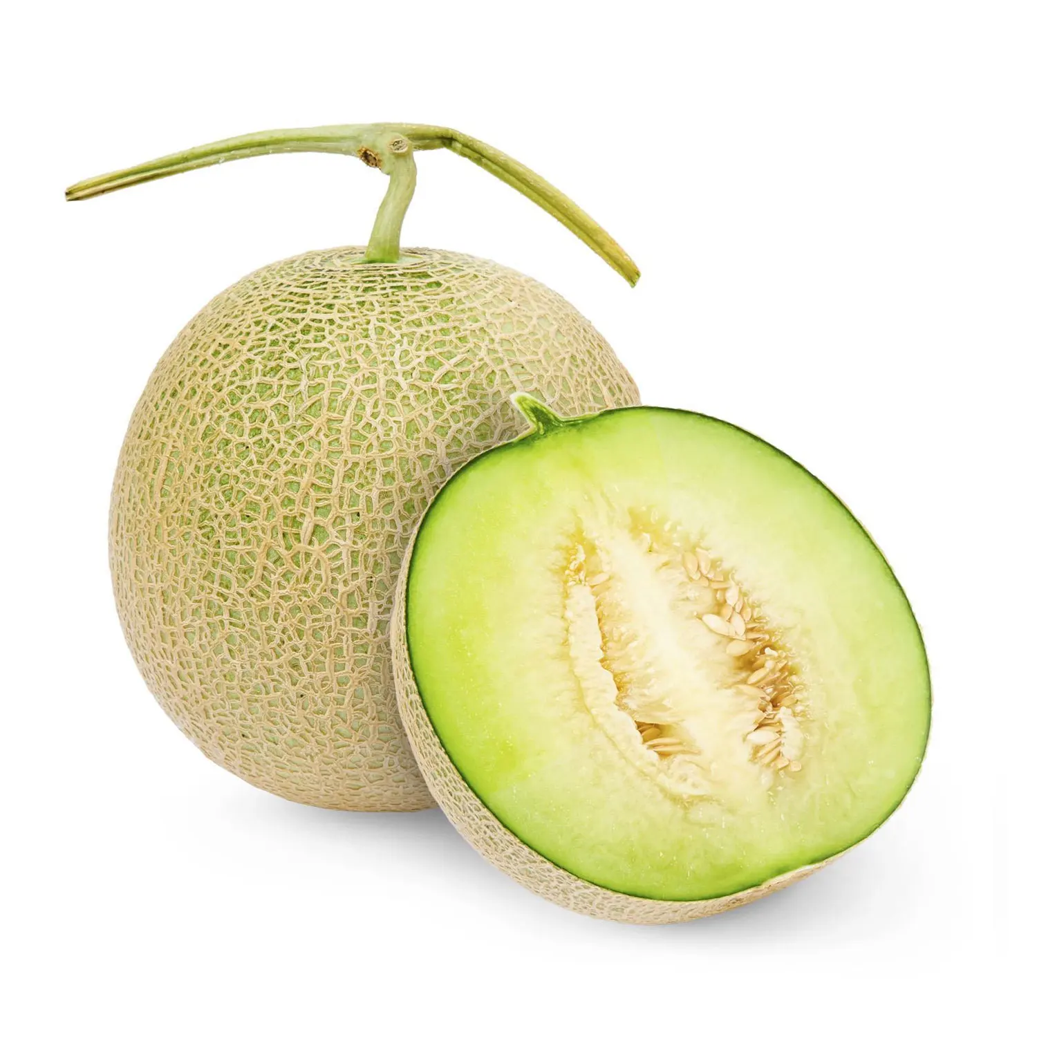 Высокое качество и конкурентоспособная цена свежий канталуп Хами Дыня