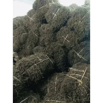  Натуральное сухое травяное желе/желе из черной травы угол 0084902870213