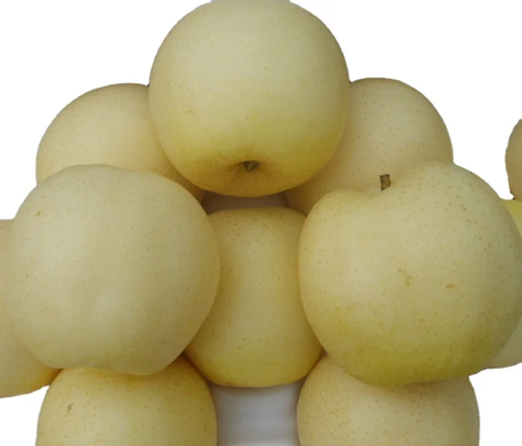 FRESH FRUITS Pears High Qualified