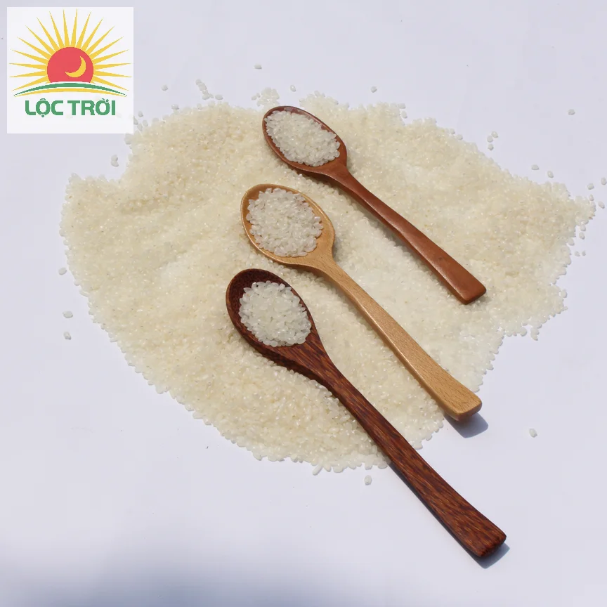 Premium Quality Calrose rice/Sushi rice/ Japonica from Vietnam Best Supplier Contact us - Loc Troi group for best price