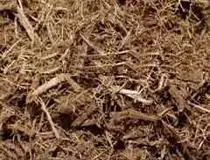 Оптовая продажа большого количества сугарского багасса для корма животных по низкой цене