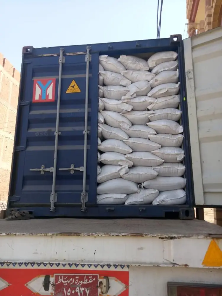 container5.jpg
