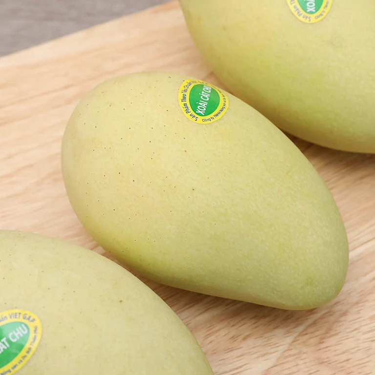 200-1100g/fruit High Quality Carton Box Packaging Green Color Common Cultivation Type Sweet Taste Mango Export from Viet Nam
