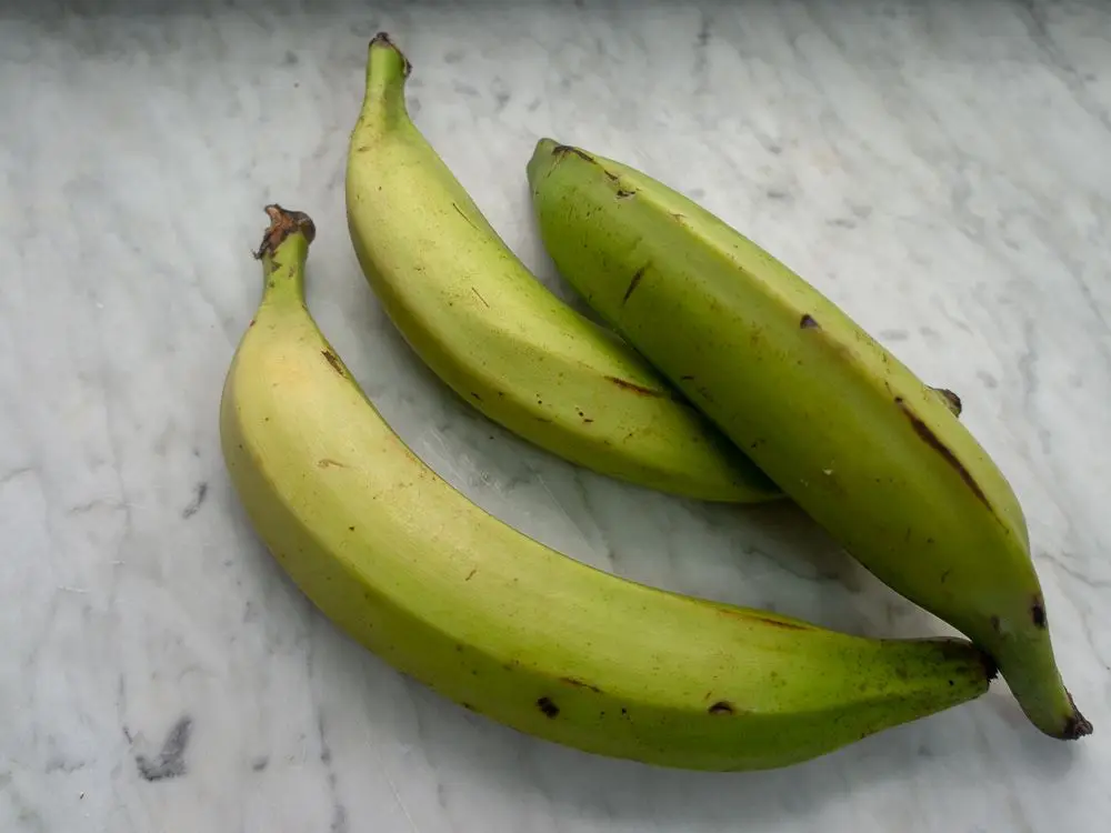 
Plantains Green Plantain Banana/Fresh Green Plantains for sale 