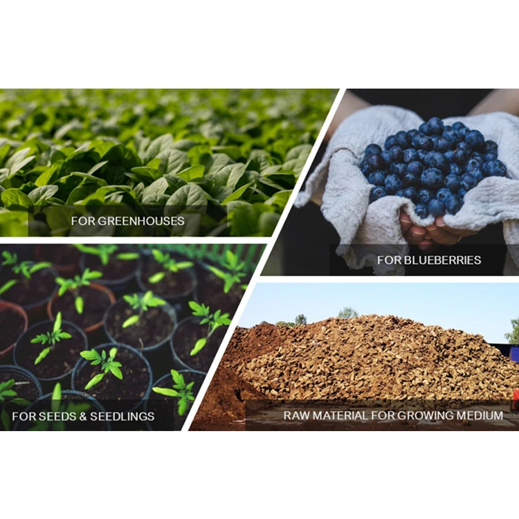 
Peat Moss Organic Fertilizer Soil 