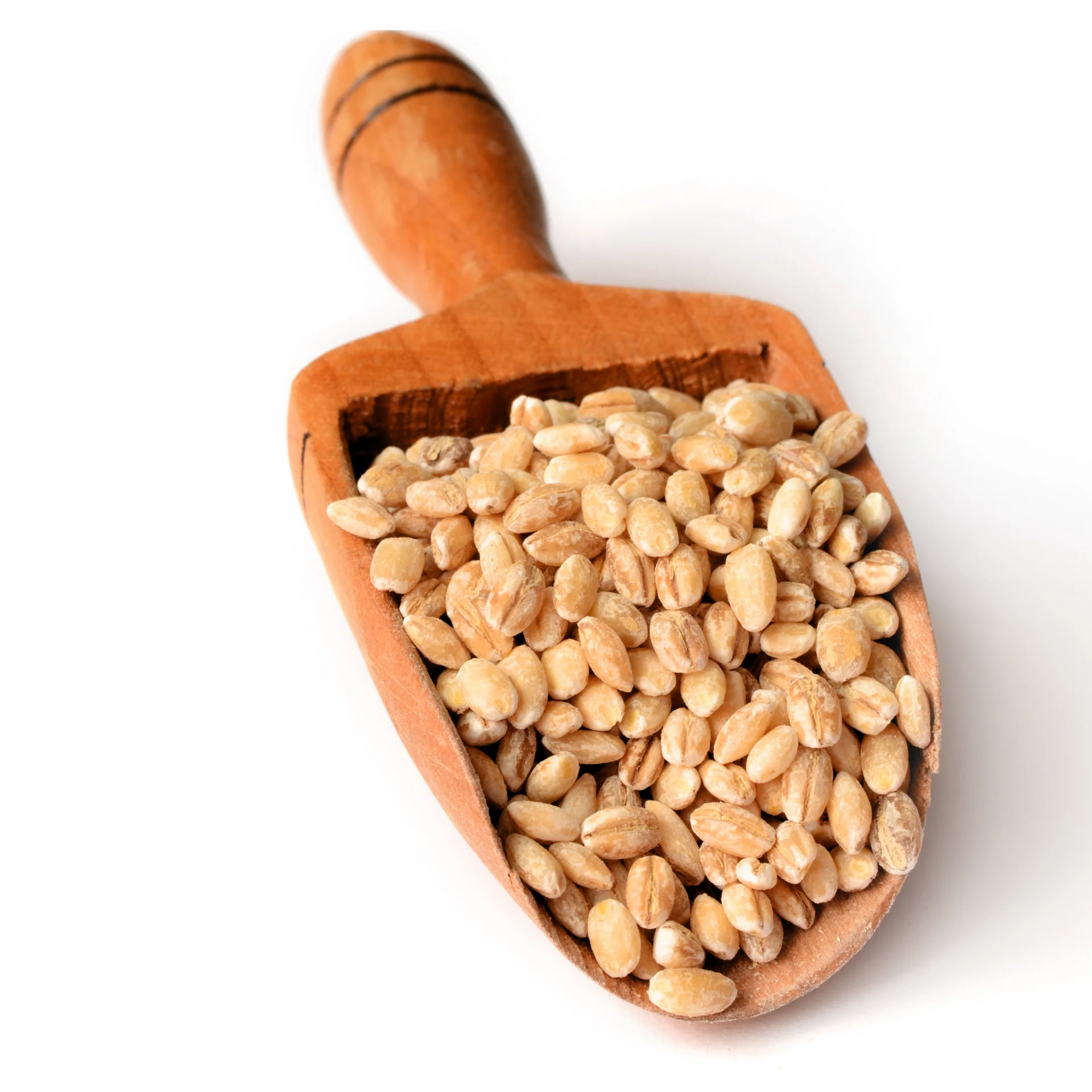 Ячмень-высокое качество