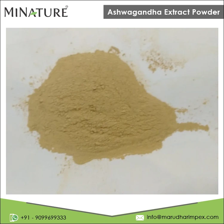 Ведущий оптовый продавец высокое качество 100% чистый порошок экстракта личной этикетки Ashwagandha для оптовых закупок