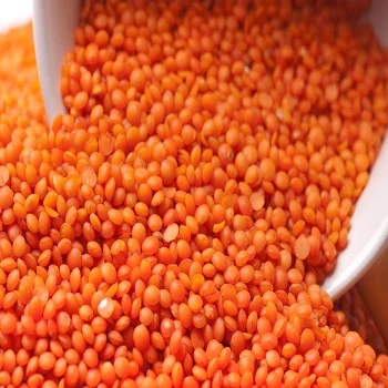GREEN LENTILS / RED LENTILS / YELLOW LENTILS