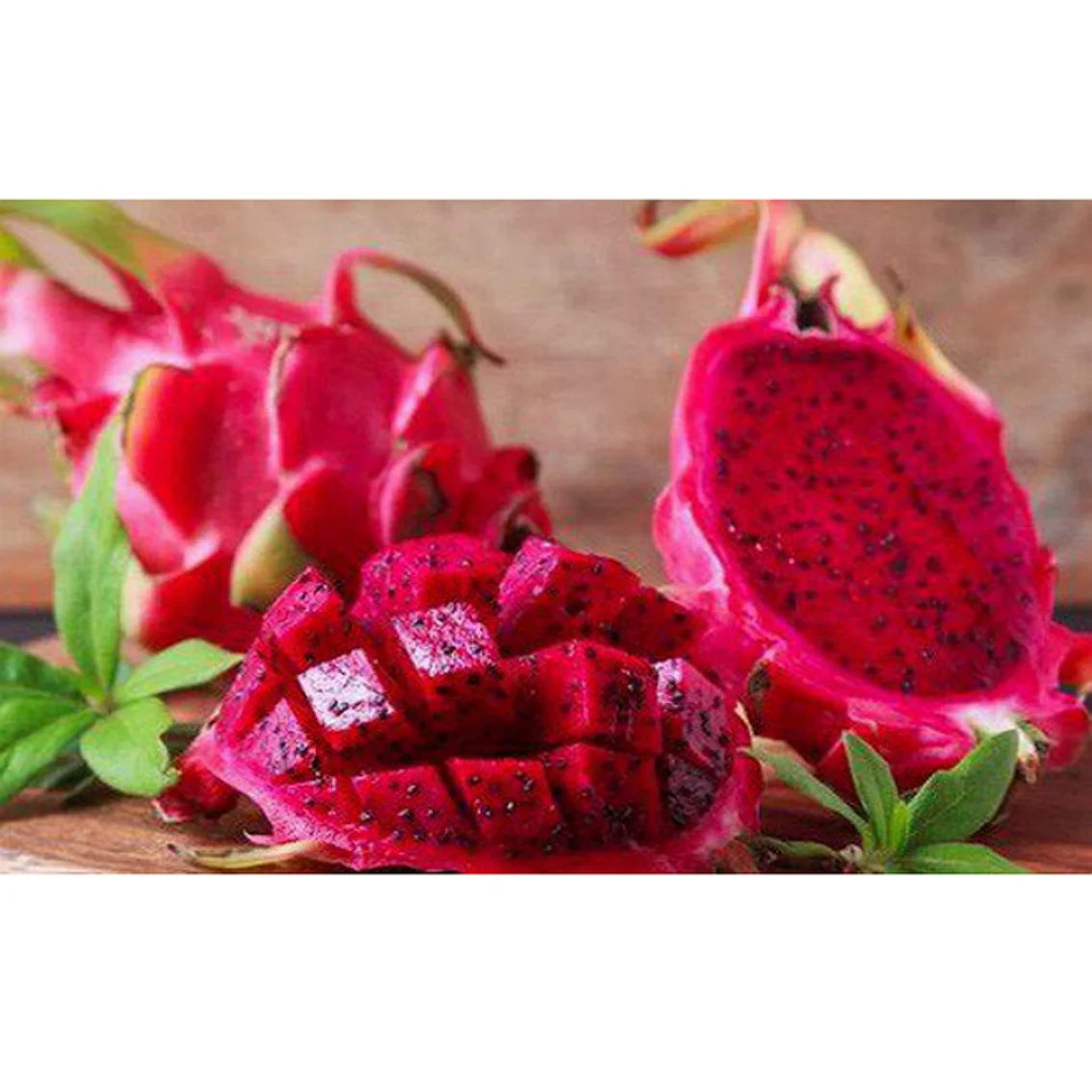 
Provider of the Best Fresh Red Dragon Fruit (origin from Vietnam) 