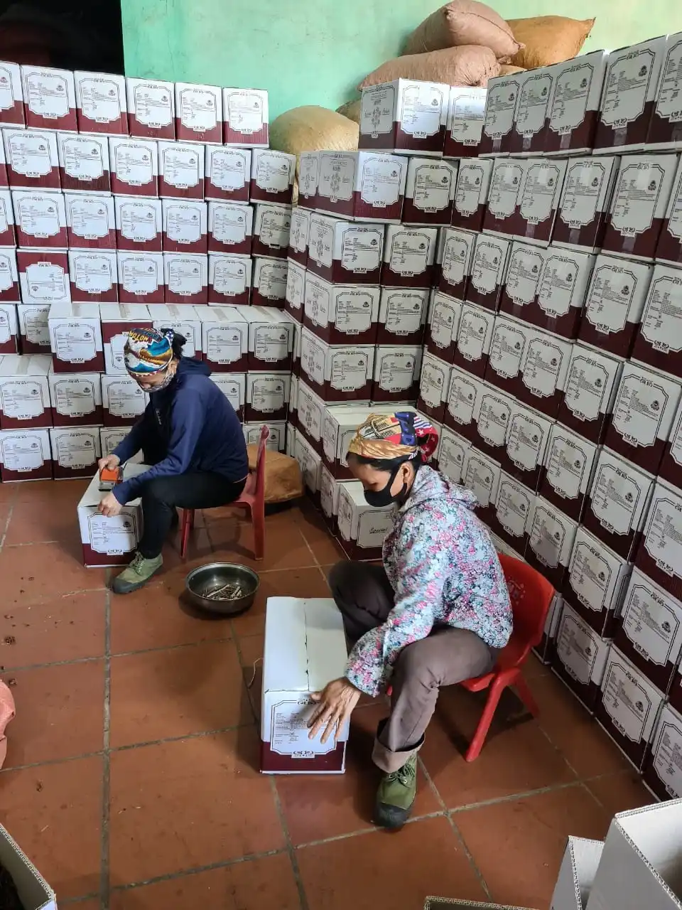 Reddish Spring Star Anise, Star Anise Seed, Vietnam Star Anise with Good Price