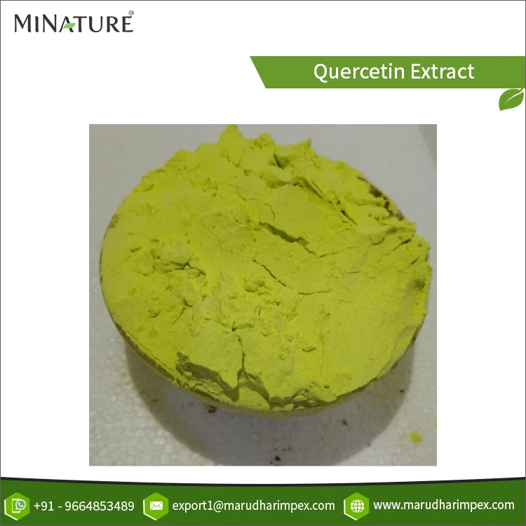 Latest Stock Arrival of High Purity Best Performance Natural Quercetin NLT 95% Extract Powder for Bulk Purchasers