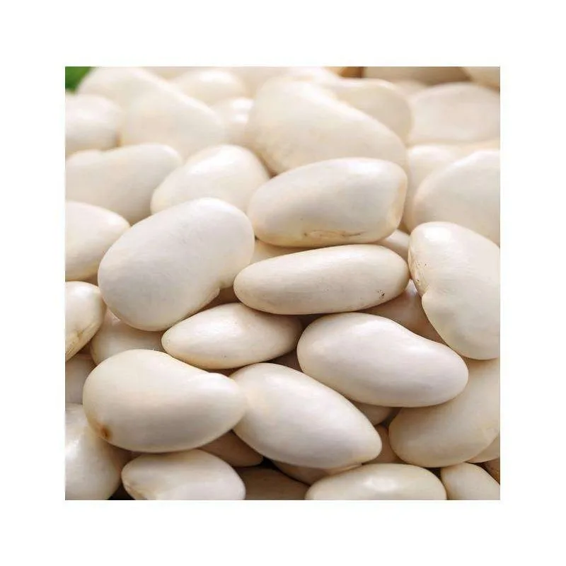 
New Crop Premium High Quality speckled light white kidney beans 