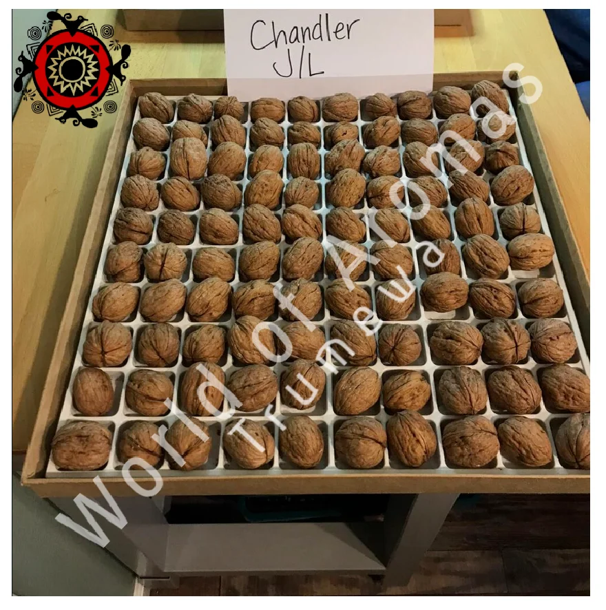 Тонкое сырье с ракушкой, орех в раковине (США) Chandler