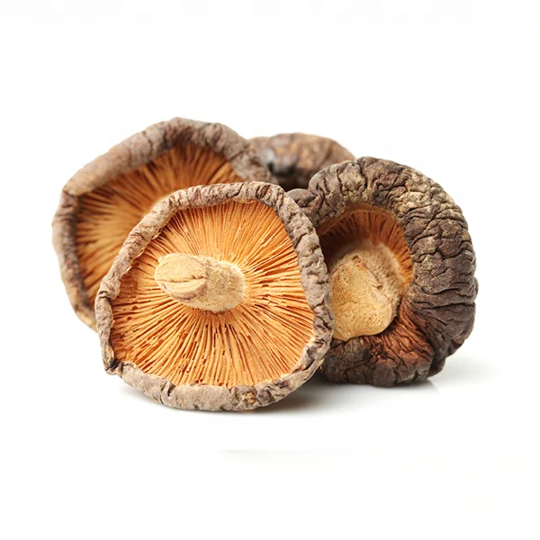 Shiitake Mushroom1.png
