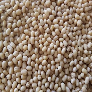 100% Natural Whole Urad Dal Exporter