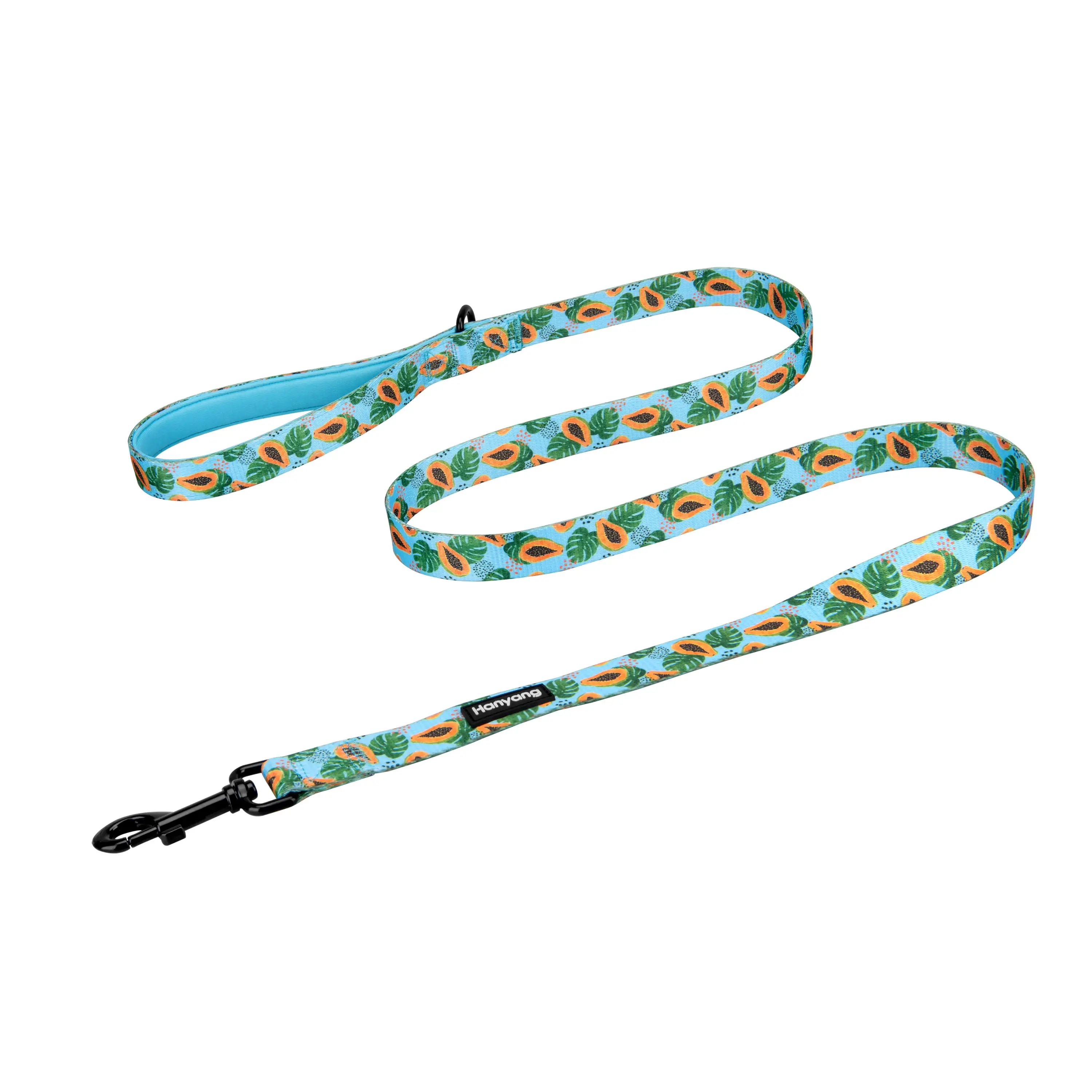 OEM Premium Sublimation Polyester Comfortable Neoprene Padded Handle Customized Brand Logo Pet Dog Leash