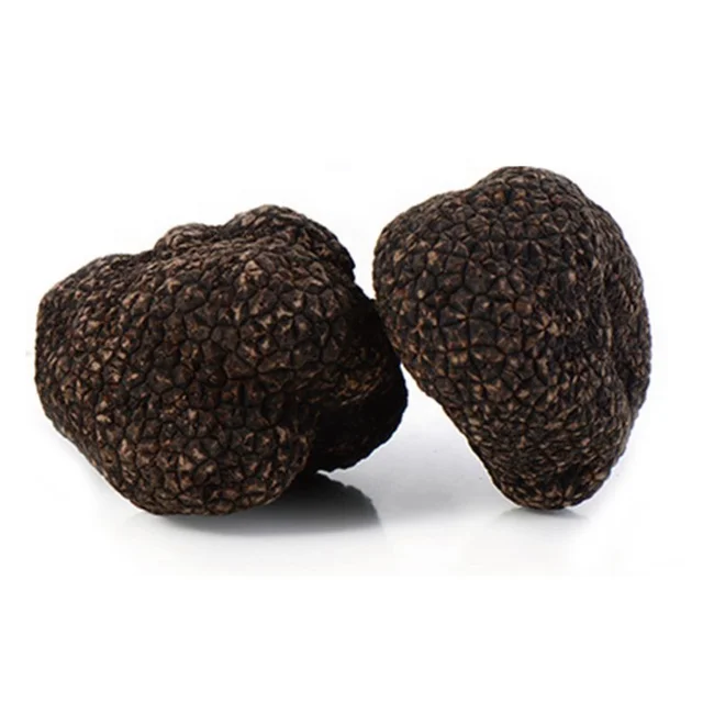 Свежие черные трюфели юньнанский лес дикие съедобные грибы свежие