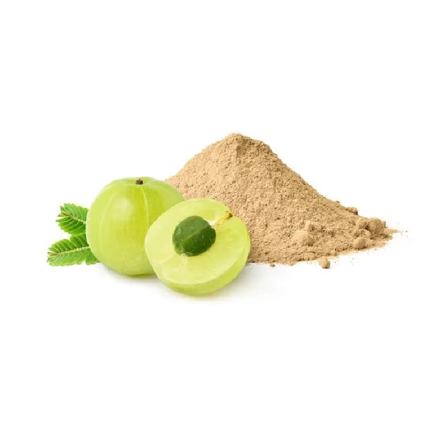 Bulk Phyllanthus Emblica Fruit Extract 100% Organic Certified Amla Extract Powder 100% Organic Amla Fruit powder