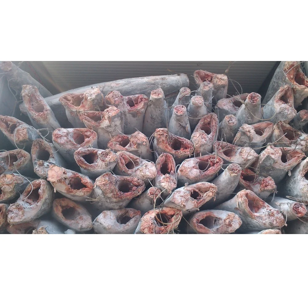 Chun Cheng Fishery замороженная целая полоса Марлин DWT упаковка в вакуумную упаковку по лучшей цене