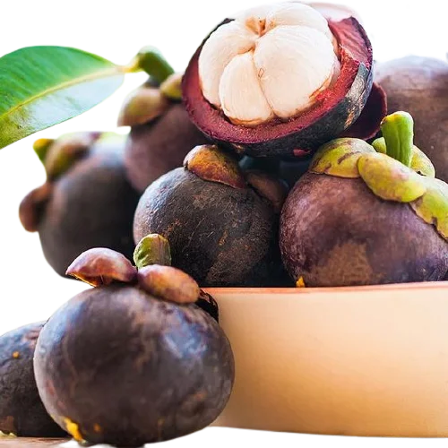 
Fresh Fruit High Quality Viet Nam / Mangosteen Fruit Attractive Price (Julia +84 984 650 841) 