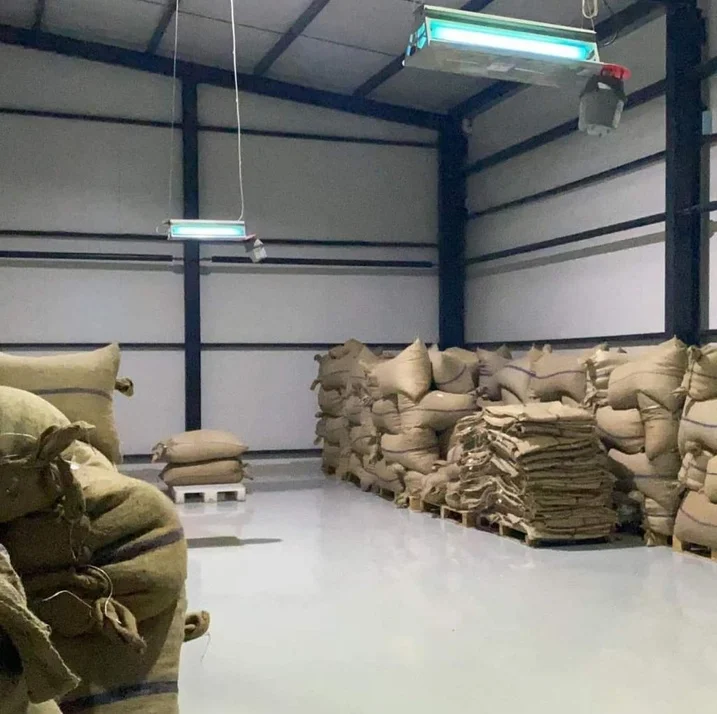 13-15 MM Chubby Organic & Natural  Unshelled Raw Bulk Hazelnut All Sizes are Available.