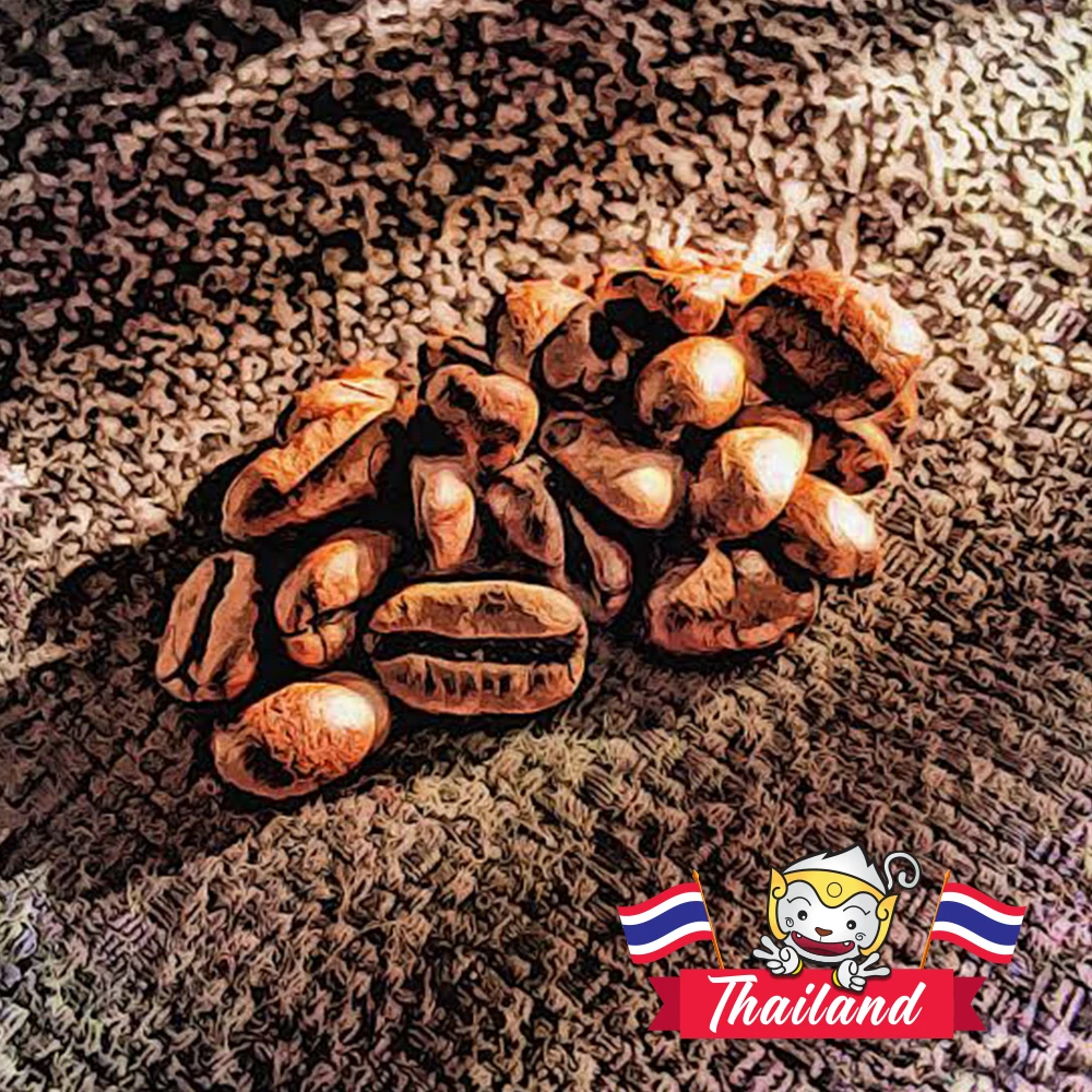 Кофейные зерна тайского качества premium kopi luwak 100% органический продукт из Таиланда