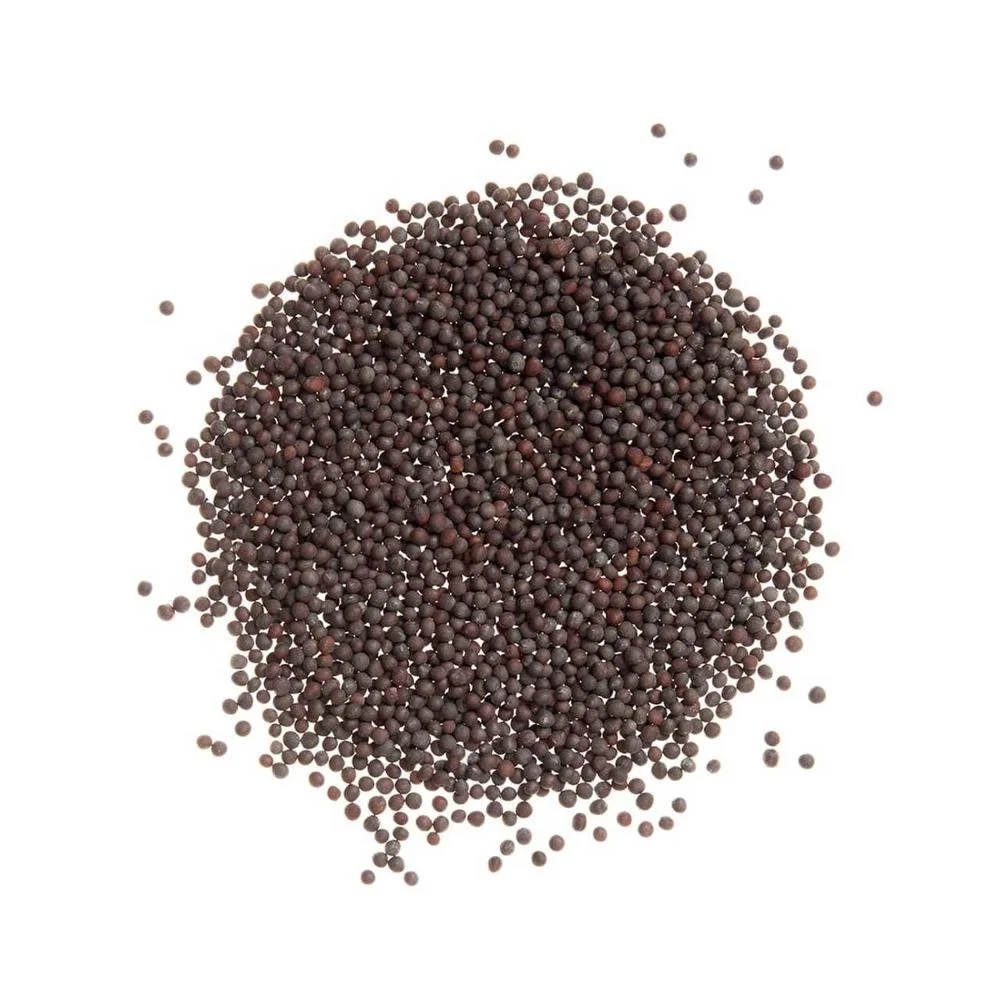 
Extra Quality Yellow Mustard Seeds and Black Mustard Seeds For Sale 