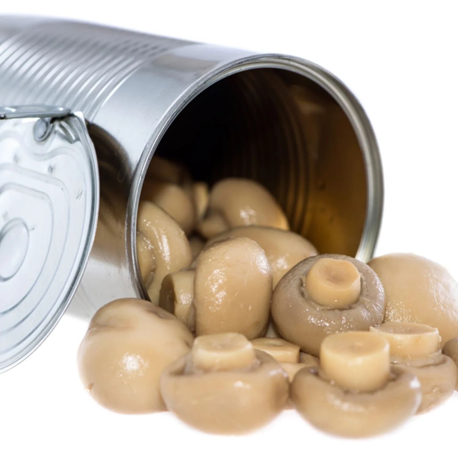 
Quality Whole Canned Mushrooms for sale 