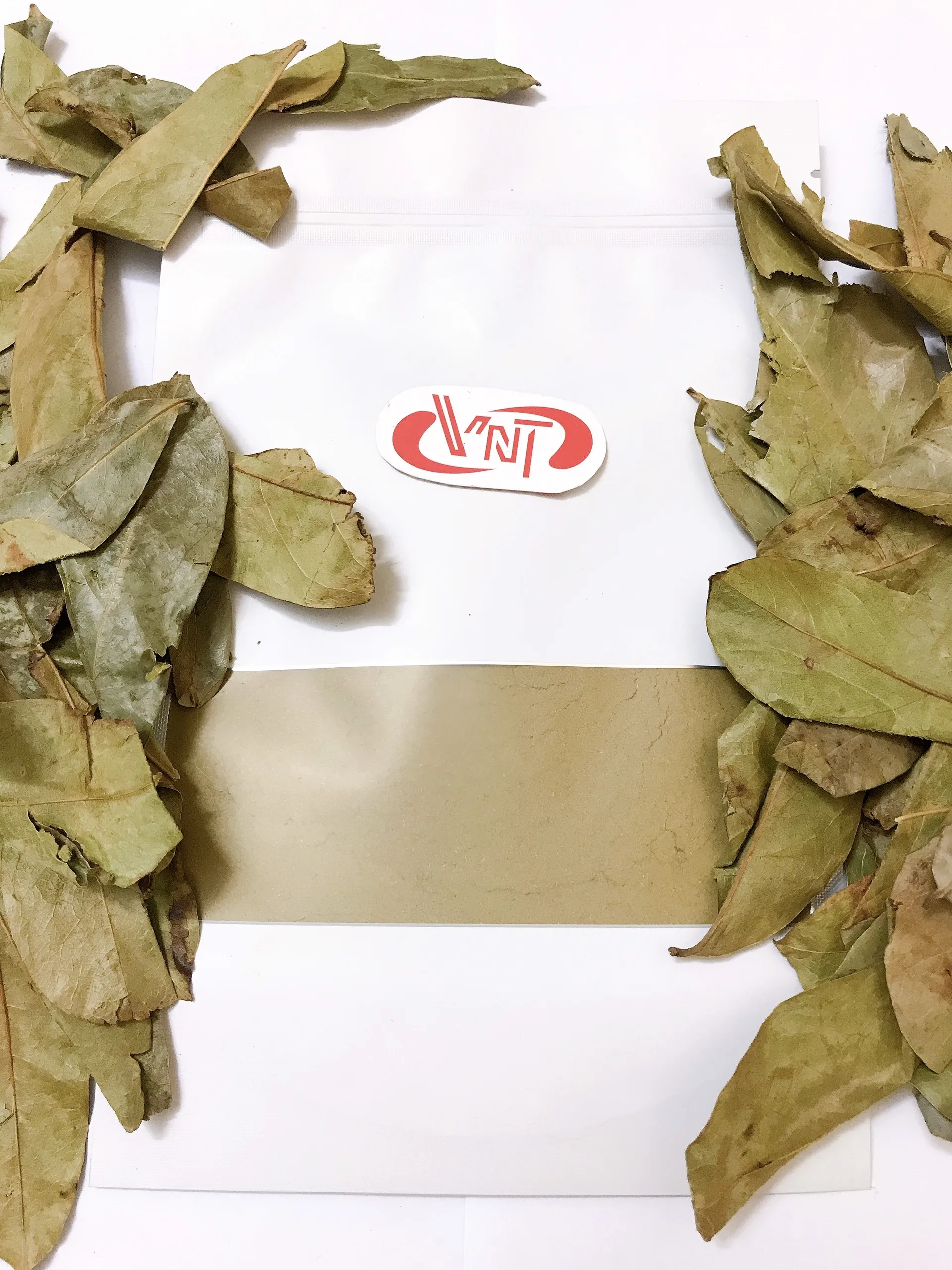 
Premium Quality Health Tea Graviola Leaves / Soursop Leaves from Vietnam - Europe standard - W/A: +84 90 335 4981 
