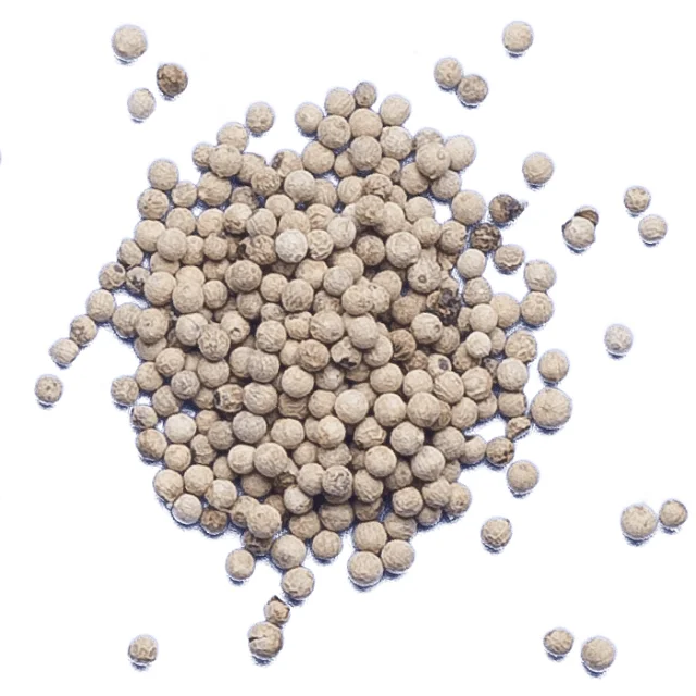 Top Grade Quality White Pepper Dried 100% Natural with Export Standard