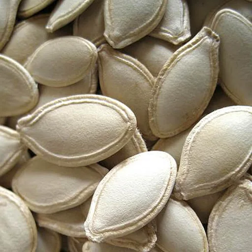 Top Grade Pumpkin Seeds Kernels Natural Roasted Pumpkin Seeds Raw Bulgarian Origin Top Quality New Crop Packaging Snacks