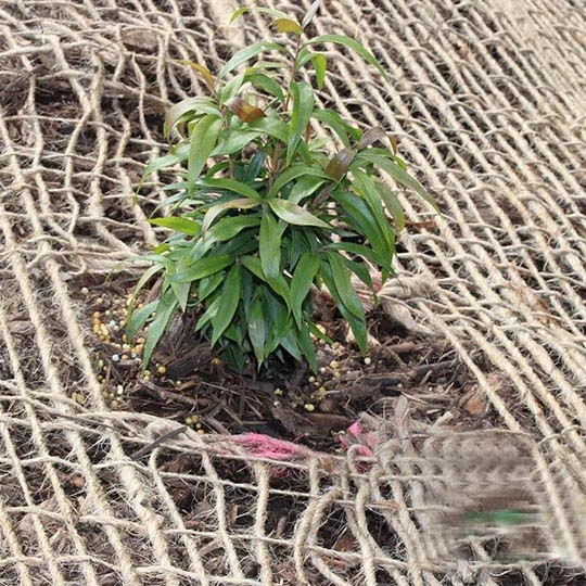 Soil Stabilizer Erosion Control 900Yards Bale Mesh Netting Jute Matting Blanket Geotextile Fabric Goodman Global Bangladesh