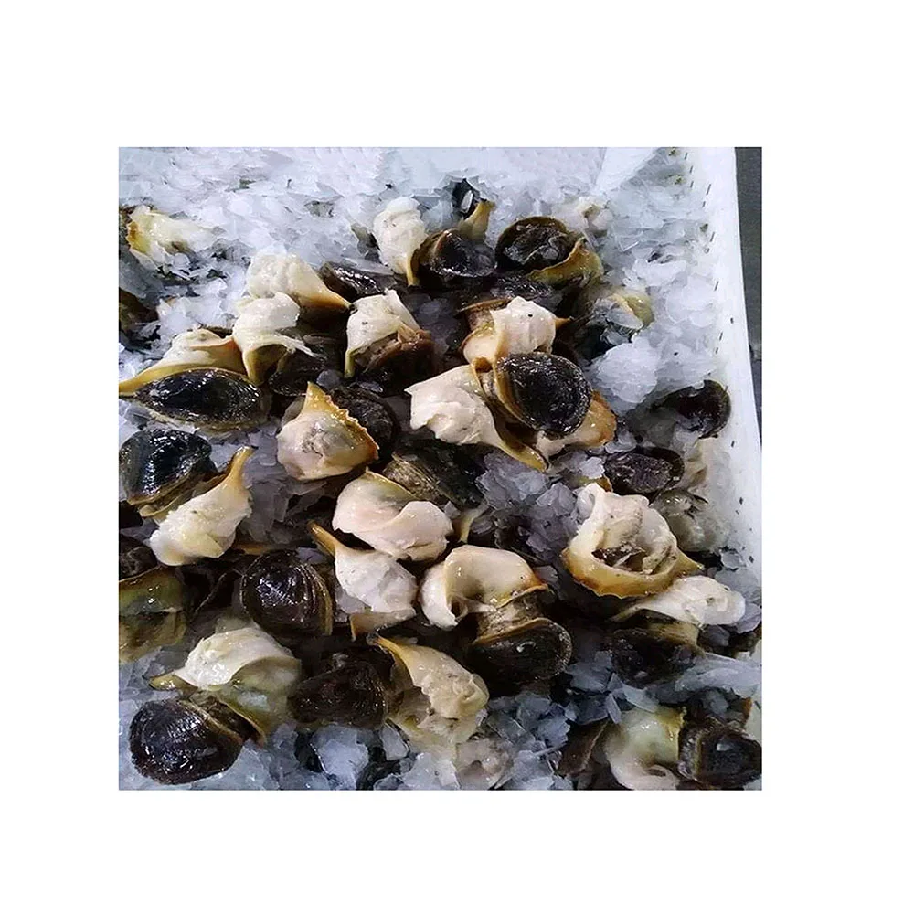 Сушеная морская смесь, замороженная морская смесь, консервированные высококачественные морепродукты, закуски, сделано в Сенегале