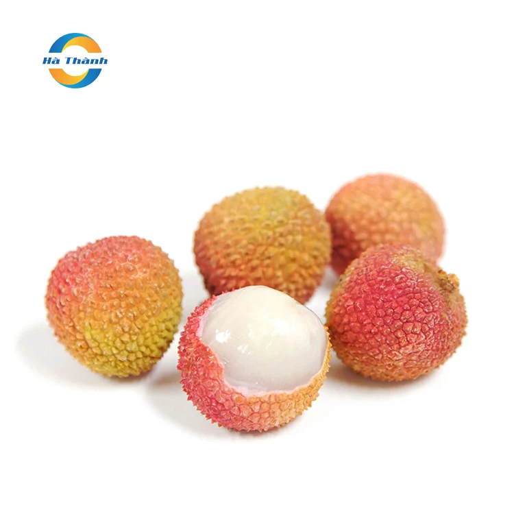  Сырье личи для высококачественного консервированного номер 1 во Вьетнаме