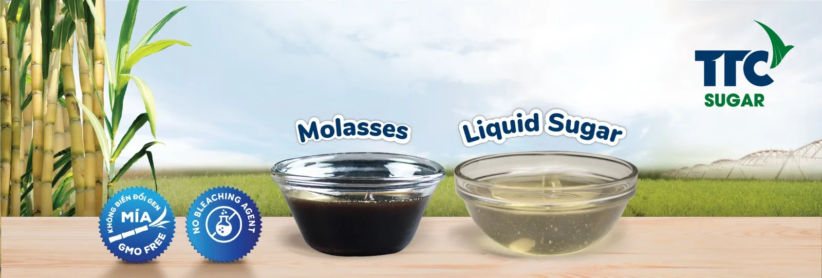 Natural Sweet Liquid Sugar Cane Syrup Refined Sugar Best Selling Products