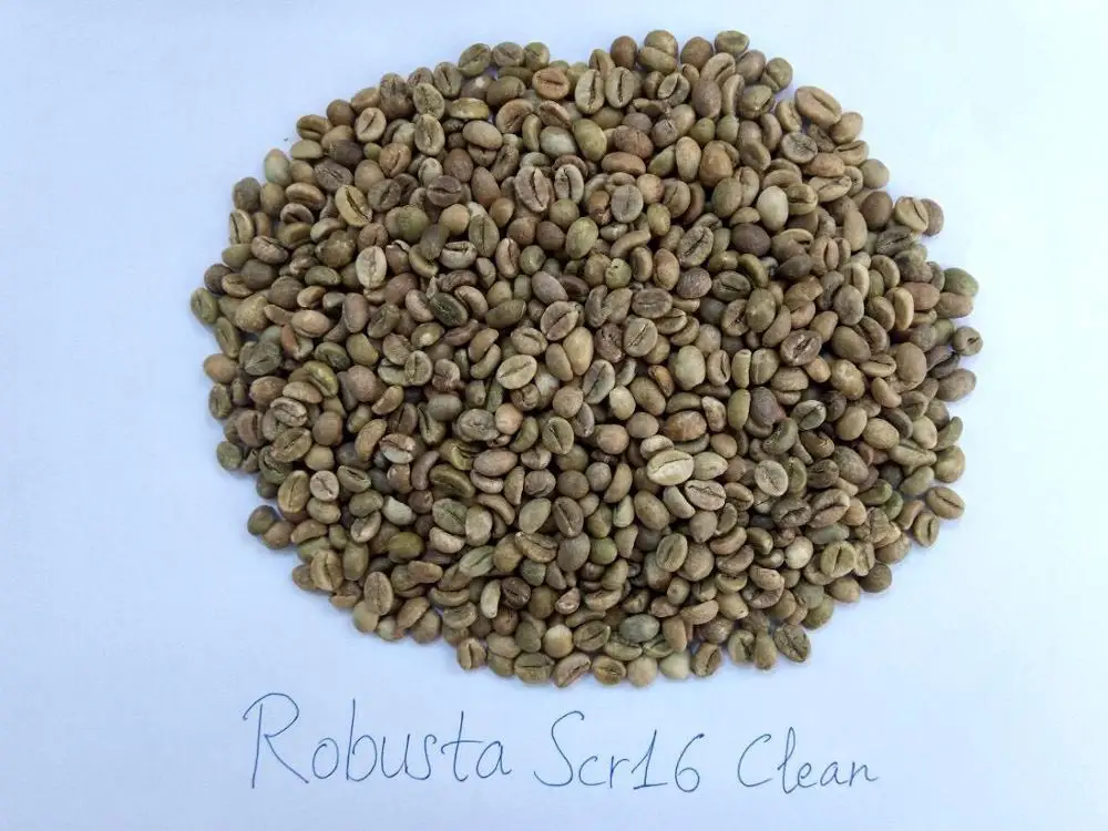 Вьетнамские немытые кофейные зерна ROBUSTA WHATSAPP + 84 889341635