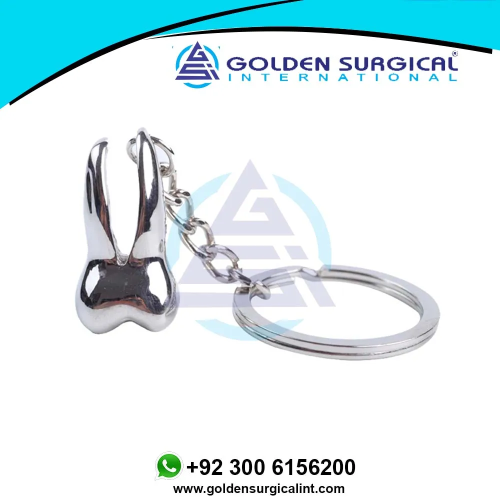Custom Teeth Keychain Dentist Decoration Key Chains Stainless Steel Tooth Model Shape Dental Clinic Gift Wholesale