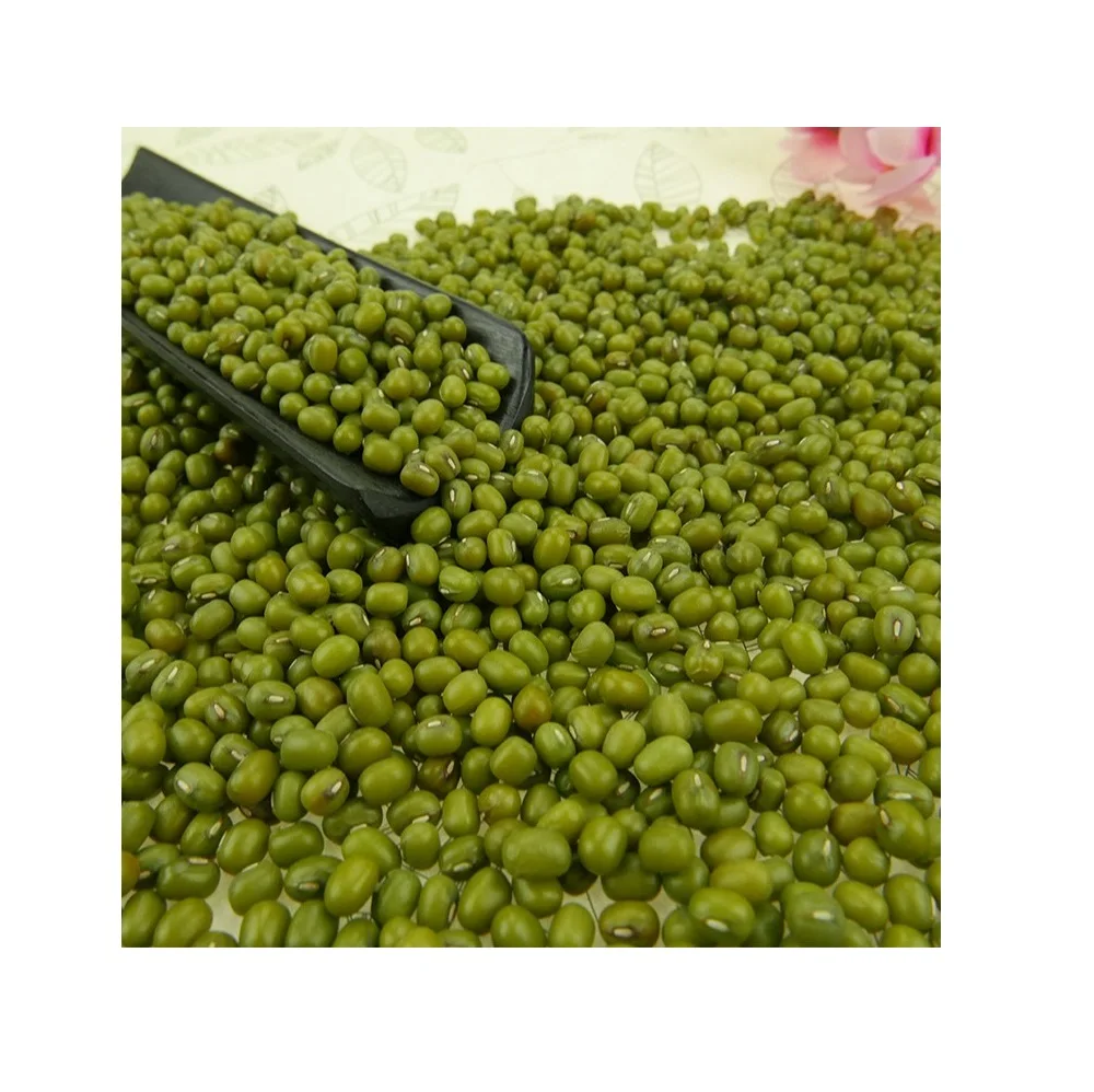 Natural vigna green mung beans