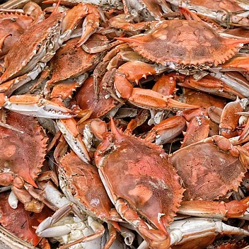 Королевские крабы замороженные